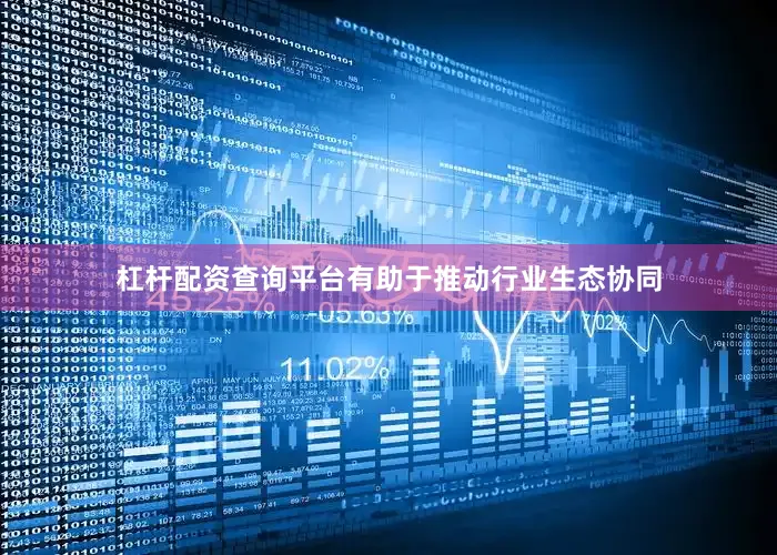 杠杆配资查询平台有助于推动行业生态协同