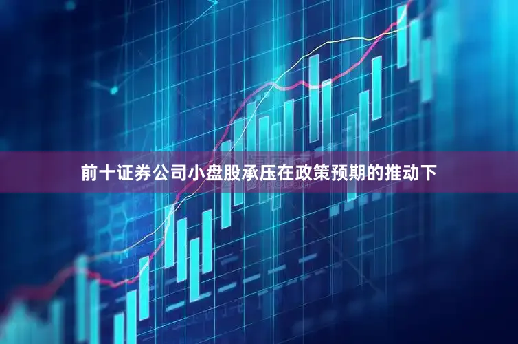 前十证券公司小盘股承压在政策预期的推动下