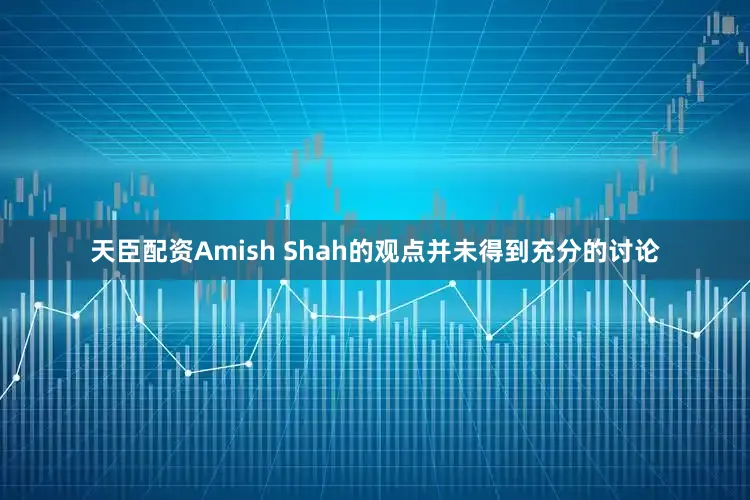 天臣配资Amish Shah的观点并未得到充分的讨论