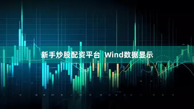 新手炒股配资平台 Wind数据显示