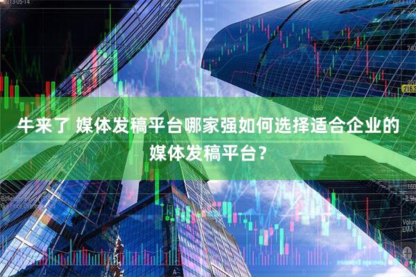牛来了 媒体发稿平台哪家强如何选择适合企业的媒体发稿平台？