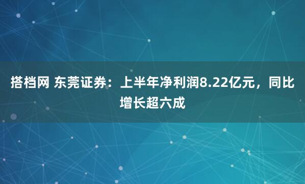 搭档网 东莞证券：上半年净利润8.22亿元，同比增长超六成